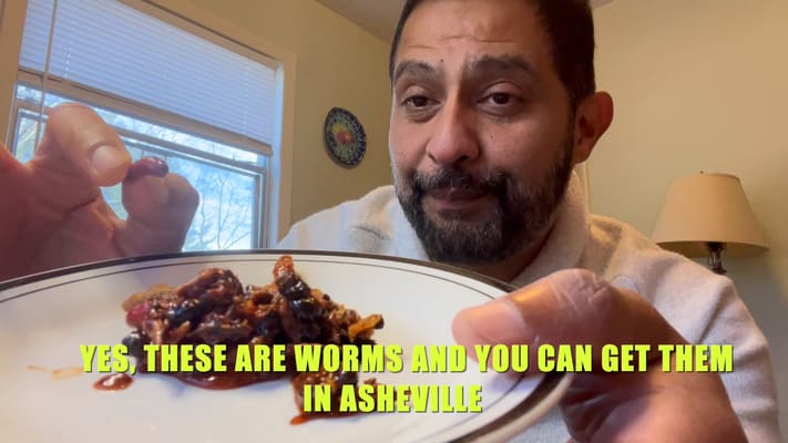 Eating bugs in asheville 2 blog asheville multicultural
